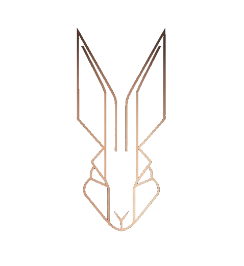 Bunny Capital Security logo
